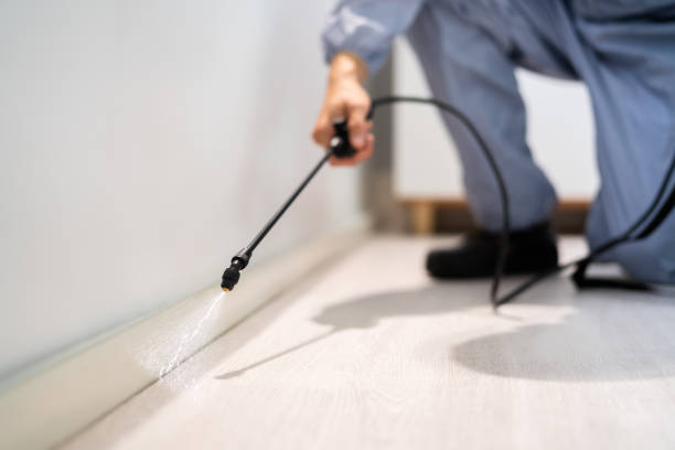 Licensed Termite Control service in Basye, VA - Nex Pest Control