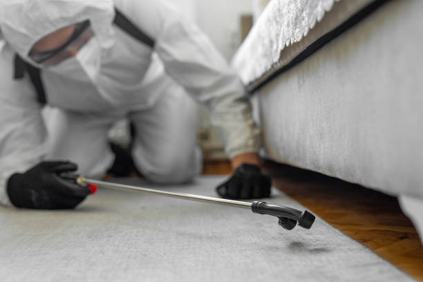 Professional Termite Control technician working in Basye, VA